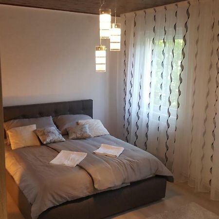 Gutenberg Utca Apartman سيغيد المظهر الخارجي الصورة